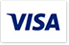paying options visa card